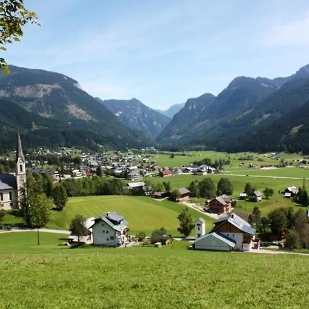 Vierthaler *